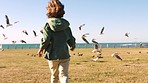 Freedom, ocean and running child with birds by beach enjoying holiday, summer vacation and weekend in Miami. Nature, childhood and young kid chase seagulls, wildlife and animals by sea for adventure