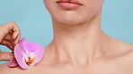 Woman, orchid flowers and body for skincare, natural beauty and floral cosmetics, spring makeup and health spa on blue background. Closeup studio model, pink petals and plants for aesthetic perfume