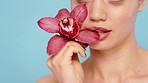 Woman, beauty and pink orchid flower for natural beauty, healthy skincare and floral cosmetics, perfume and aesthetics on blue background. Model face, mouth and plants in studio for luxury self care 