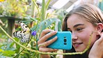 Phone, butterfly and girl taking picture at zoo for happy memory, social media or online post. Tech, mobile and curious teenager recording video of insect on plant for learning or education in garden