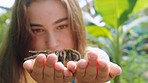 Hands, spider and children with a girl holding an arachnid outdoor alone in nature or at the zoo. Kids, pet and wildlife with a tarantula on the hand of a female child outside in a park during summer