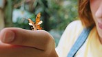 Hand, butterfly and kids with a girl holding an insect outdoor in her garden, backyard or park during spring. Nature, wildlife and children with a female child looking ay a flying bug outside