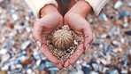 Shell, beach sand and hands of woman traveler enjoying tropical holiday or vacation travel. Summer, ocean and nature getaway with empty seashells on shore to relax and explore ecology outside