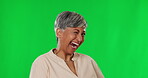 Wink, green screen and funny mature woman laughing at a joke, comedy or comic isolated in a studio background. Smile, happy and portrait of a female person laugh at silly humor in happiness