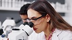 Science, research and woman with microscope in the lab working on experiment, test or analysis. Innovation, biotechnology and female scientist researcher analyzing for project in biology laboratory.