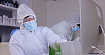 Covid, computer and sample with a man scientist working in a laboratory for research or innovation. Science, medical or biology with a male doctor in a ppe uniform while in a lab for development