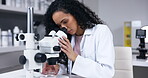 Scientist, woman and microscope with analysis in laboratory, science experiment and test sample in petri dish. Female doctor, analyze specimen and focus with scientific study and medical research