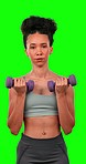 Face, exercise and woman with dumbbells on green screen in studio isolated on a background. Portrait, athlete or person lifting weights for bodybuilding, fitness or training, strong muscle or workout