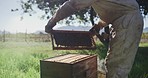 Pharmaceutical industries use beeswax in ointments
