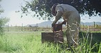When bees thrive, so do the crops