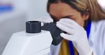 Scientist, microscope slide and analysis of sample with woman in laboratory, medical research and science experiment. Female doctor in lab, closeup and examining specimen with scientific innovation 