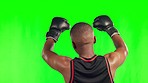 Sports, fitness and man with boxing gloves on green screen from the back to celebrate winning achievement. Competition winner, celebration and champion professional boxer with hands up from behind.