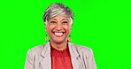 Face, ceo and senior woman on green screen in studio isolated on a background mockup space. Portrait, funny and business person, professional or executive entrepreneur from India with happy laugh.