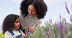 Mother, child and lavender flowers in garden, bonding and happy together. African mom, girl and learning plants for growth, giving and teaching floral care for education in spring in the countryside.