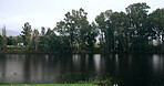 Landscape, lake and silhouette trees with peace in summer with sky in countryside in germany. Environment, water and field with calm in spring for holiday or travel with adventure with river.