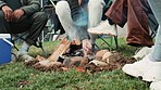 Bonfire, camping and friends sitting in circle, outdoor and nature for heat, cooking or bbq on ground. Fire, flames and group with wood, relax together and lawn for barbecue on holiday with picnic