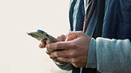 Hands, phone and typing outdoor for communication, search or message on social media. A person with a smartphone and internet connection for writing email, chat or update on a cold and misty morning