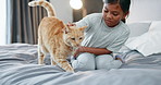 Kids, bedroom and a girl petting her cat in the morning for bonding in a home with love, trust or care. Children, bed and pet with an adorable female child stroking a kitten as friends in a house 