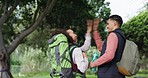 High five, success or happy couple hiking in forest with motivation, camping goal or support in Brazil. Teamwork, celebrate or back of excited man with woman walking on travel adventure for holiday