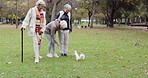 Park, senior friends and feed squirrel, bonding and having fun outdoor. Group of elderly women, animal and nature, play on holiday and vacation, relax and enjoy quality time for retirement in winter