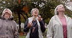 Senior friends, park and leaves in autumn, old people on walk in forest for health and outdoor freedom. Happiness, friendship in retirement and group of elderly women in nature, fresh air and bonding