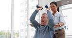 Man with disability, physiotherapy and dumbbell exercise for healthcare rehabilitation, consulting and physical therapy assessment. Clinic, physiotherapist and support of senior patient in wheelchair