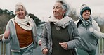 Senior women, fitness and group in park with smile, exercise and health on bridge in retirement. Elderly female friends, power walk and happy with training, workout and together for support in nature