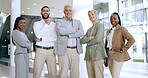 Management, collaboration and corporate with a business team standing in the office at work together. Portrait, leadership and teamwork with a group of professional colleagues in the workplace