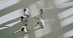 Above, handshake and group of business people welcome together and meeting in corridor for partnership or collaboration. Professional, deal and corporate team of employees in an office shaking hands