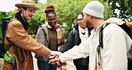 Group, camping and hands of people in celebration, cheer together and winning, goal or team building adventure in the park or woods. Diversity, group or friends cheering with support and pride