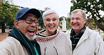 Senior friends, selfie and smile outdoor at a park for social media, travel memory and love. Profile picture, diversity and elderly men and woman together in nature for retirement holiday or wellness