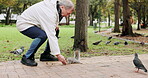 Nature, squirrel and feeding with old man in park for peace, relax and environment. Happy, calm and food with senior person and animal eating in outdoors for forest, autumn and wildlife care