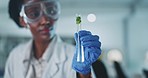 Test tube, leaves and science, black woman and scientist in lab, medical research and ecology with sample. Environment study, liquid solution and analysis with plant, green and scientific experiment