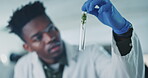 Test tube, plant and black man, scientist writing notes in lab, medical research and science with sample. Environment study, liquid solution and analysis with leaves and scientific breakthrough 