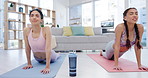 Meditation, yoga or women stretching in class for wellness, exercise or fitness workout in zen house studio. Flexible, calm peace or healthy friends in home training in cobra pose to relax the body