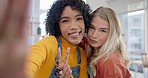 Friends, happy and selfie at home with peace sign and social media photo for post at home. Smile portrait, profile picture and friendship of young women together in a living room with funny face