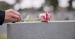 Funeral, cemetery and hands with rose on tombstone for remembrance, ceremony and memorial service. Depression, sadness and person with flower on gravestone for mourning, grief and loss in graveyard