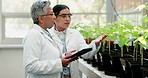 Scientist, plant and teamwork of women in greenhouse research of mentor, student or botanist discussion. Science, leaf and medical professional doctor in agriculture collaboration, farming and tablet