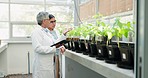 Scientist, tablet and teamwork of women in greenhouse for research of mentor, student or botany discussion. Science tech, plant or collaboration of medical doctor in agriculture, farm or check growth