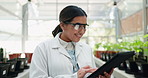 Tablet, science and sustainability with a woman in a greenhouse to study plant growth for ecology research. Technology, innovation and agriculture with a young scientist working on green medicine