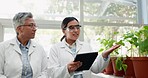 Tablet, scientist and teamwork of women for botany research of mentor, student and discussion in greenhouse. Science collaboration, leaf and medical professional doctor farming for plant agriculture