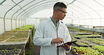 Scientist, man and tablet for greenhouse plants, farming or agriculture inspection, quality assurance and check. Science expert or farmer with food security, vegetables or growth data on digital tech