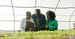 Greenhouse, farmer and scientist with checklist for plants, agriculture growth and development for sustainable business. Man, woman and agro science in vegetable farming with professional analysis.