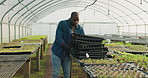 Farm, sustainability and a black man in a greenhouse for agriculture while carrying plants for the season. Growth, ecology and a male farmer at work in a nursery for nature research or conservation