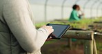 Greenhouse, plants and woman hands on tablet, sustainable small business and sales in agriculture. Digital app at vegetable farm, online report for growth and development in agro farming networking.