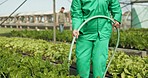 Farmer, hose and water in greenhouse, agriculture and vegetables for growth, farming and sustainability. Person, irrigation and care for leaves, garden and health of crops, plants or agro development