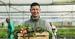 Farmer, man and vegetables box for agriculture, sustainability or farming in greenhouse and agro business. Face of happy manager with gardening, green harvest or food development in groceries basket