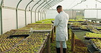 Plant farm, tablet and man walk doing science research of eco garden, ecology inspection or agro production investigation. Greenhouse progress, tech and back of scientist for farming assessment check