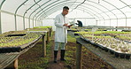 Plants, tablet and greenhouse scientist, man or agronomist for farm research, environment quality assurance or agro analysis. Agriculture development, walk or ecologist typing farming progress review