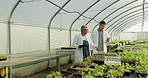 Greenhouse, man and woman with a tablet, conversation and farmer with agriculture inspection, teamwork and food development. People, scientist and coworkers with tech, sustainability and production